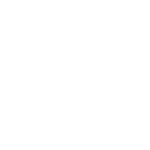 SANDISK